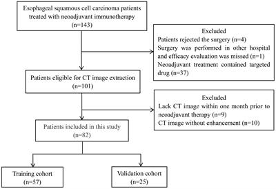 A machine learning radiomics based on enhanced computed tomography to predict neoadjuvant immunotherapy for resectable esophageal squamous cell carcinoma